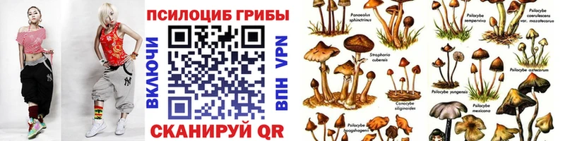 Галлюциногенные грибы MAGIC MUSHROOMS  Улан-Удэ 
