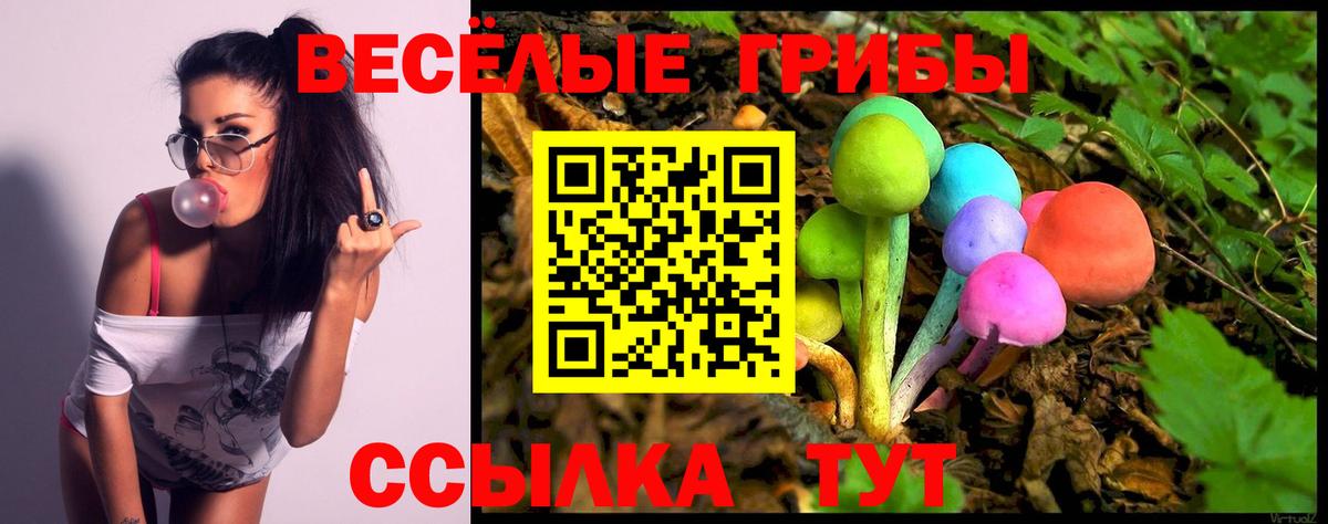 Галлюциногенные грибы ЛСД  Вход с VPN  Псилоцибиновые грибы GOLDEN TEACHER  Улан-Удэ 